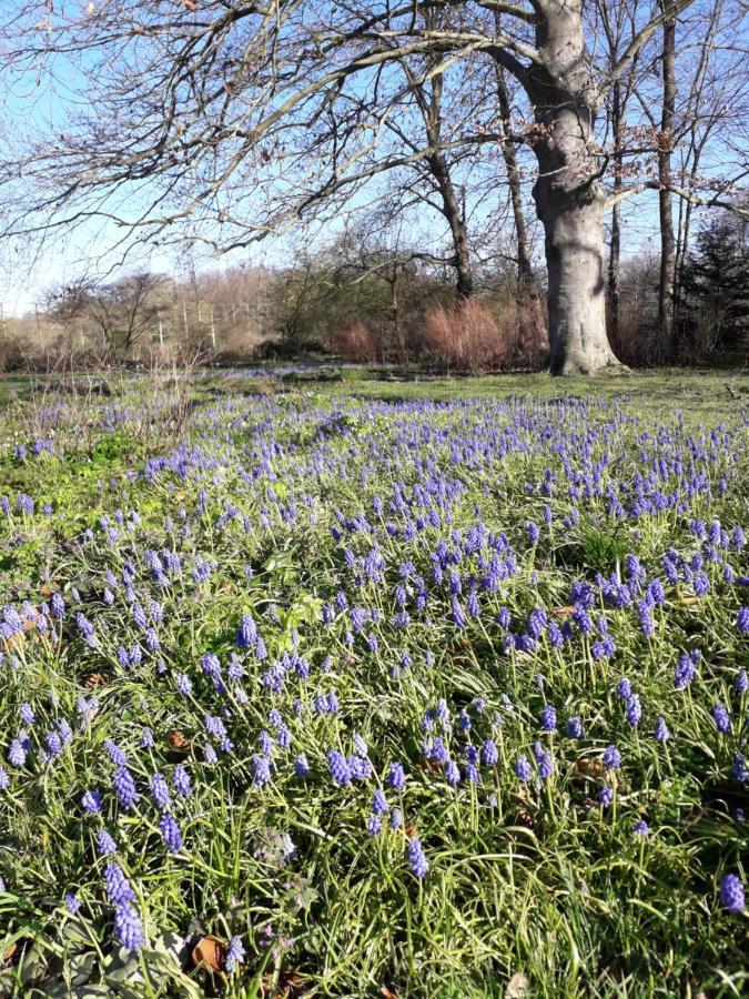 Appartamento Het Maelslot Arrondissement di Malines Esterno foto