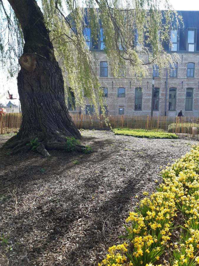 Appartamento Het Maelslot Arrondissement di Malines Esterno foto